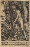 TvB G 3975
<br/>
Hercules en de Nemeïsche leeuw
<br/>
<em>Aldegrever, Heinrich (1502 - 1555/61)</em>